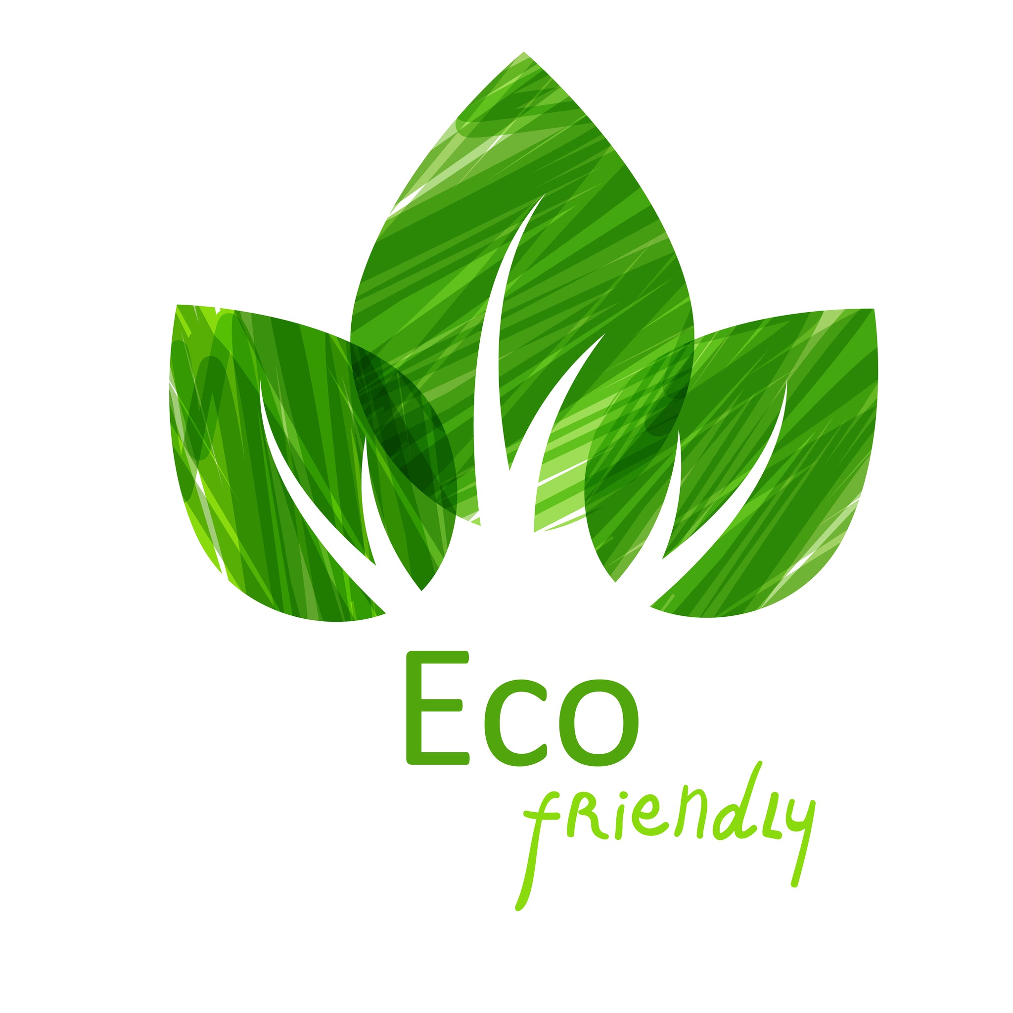 The Rise of Eco-Friendly and Organic Clothing: Benefits of Embracing Eco Apparel